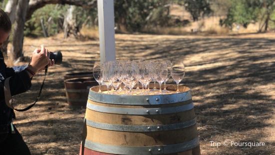 Moorooroo Park Vineyards