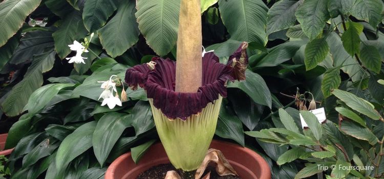 Botanischer Garten Berlin Travel Guidebook Must Visit Attractions