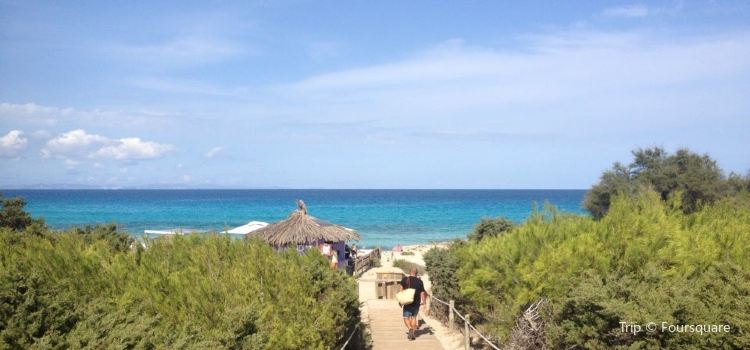 Playa Ses Platgetes Travel Guidebook Must Visit Attractions In