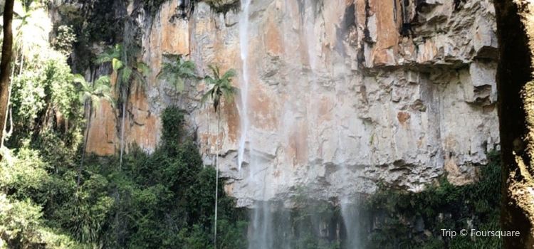 Purling Brook Falls Travel Guidebook Must Visit Attractions In