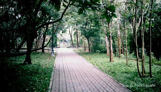 都市森林浴場