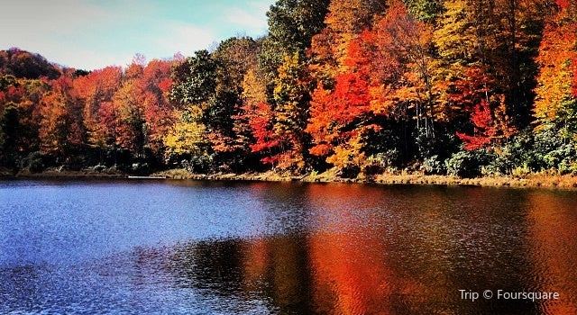 Wildcat Lake Travel Guidebook Must Visit Attractions In Banner