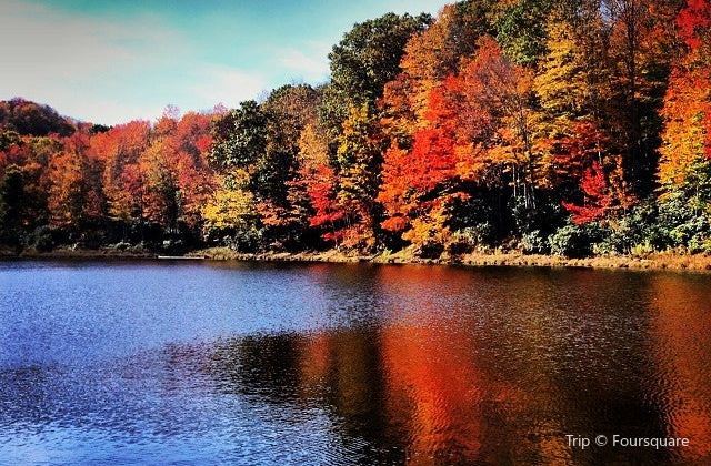 Wildcat Lake Travel Guidebook Must Visit Attractions In Banner