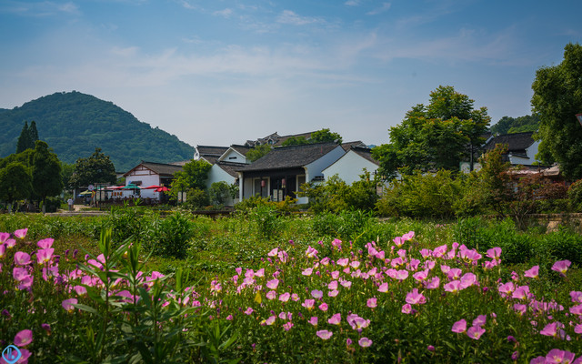 南京有座不老村，初夏里的时光变得很慢