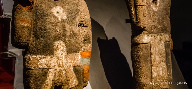 メキシコ シティ ディエゴ リベラ壁画館 評判 案内 トリップドットコム