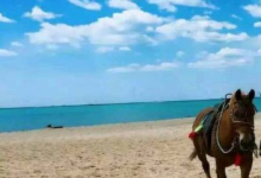 秦皇岛鑫逸渔家院美食图片