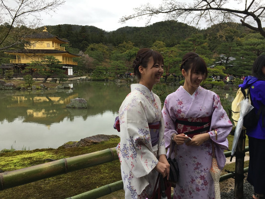 日本：樱花季行走在日本
