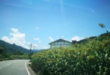 太平山景点图片