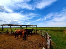 苏泊罕大草原旅游景区-伊金霍洛旗-尘世如潮人如水Zx