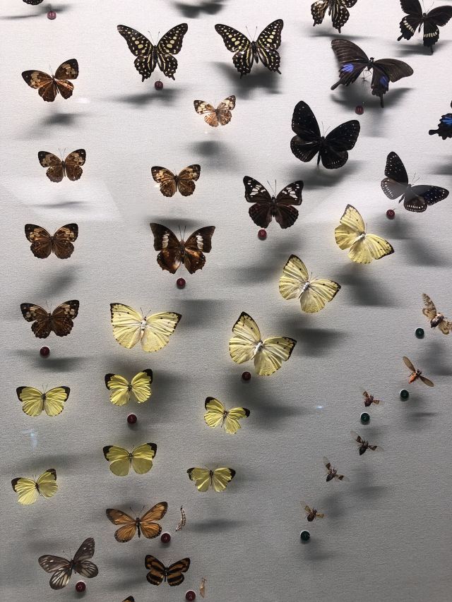 Shanghai Science and Technology Museum