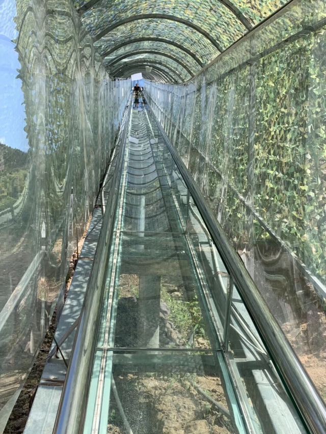 雙童山景區