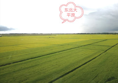 沈阳游记图片] 乘高铁闯关东、看东北三省城、游漠河穿草原