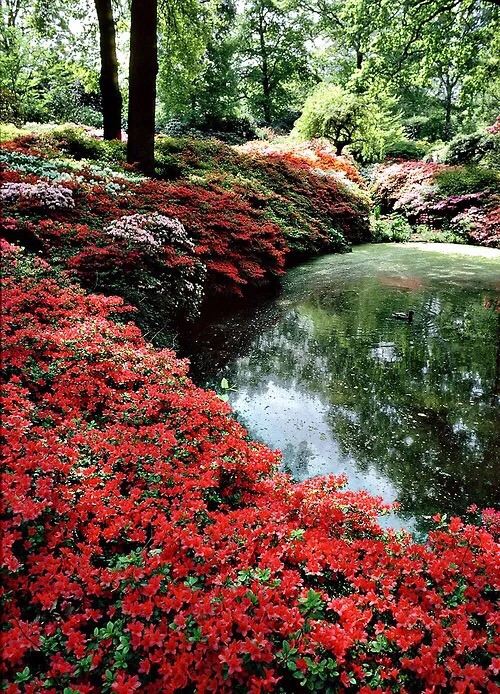 Botanischer Garten Attractions M32 5623 Marburg Biedenkopf