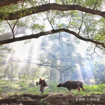 东壁+杨家溪+北岐滩涂+白水洋风景区+太姥山4日3晚私家团