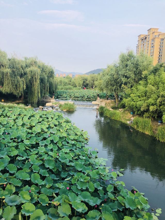 李村河生态全景示范园旅行图片 2