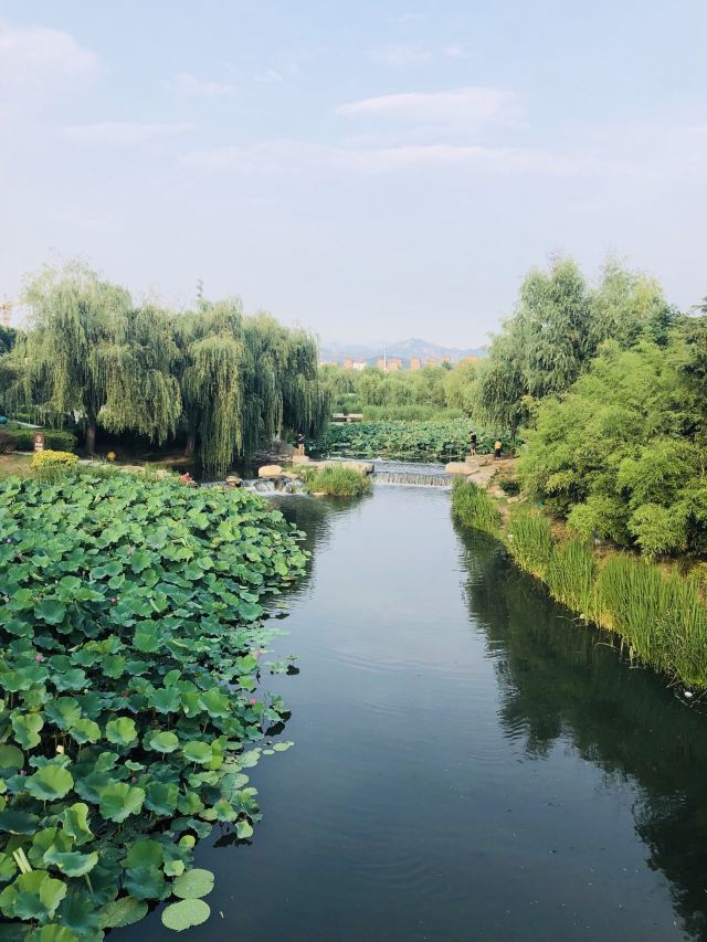 李村河生态全景示范园旅行图片 3