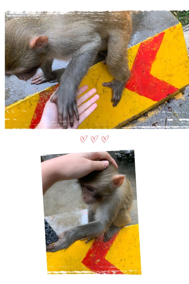 贵阳市森林公园旅行图片 1