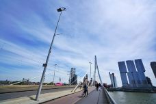 伊拉斯谟斯大桥-鹿特丹-则卷小雨St
