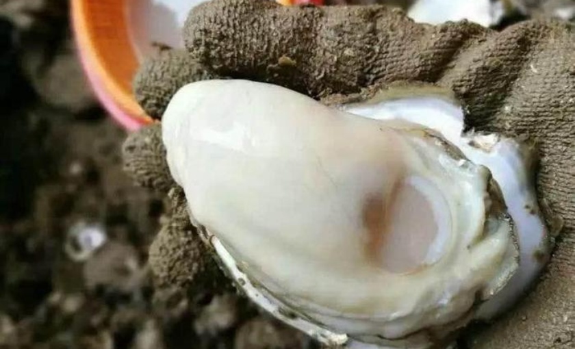 大自然农庄(黄杨大道店)