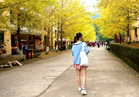 忆人生第一次自驾游——南雄坪田银杏叶之乡