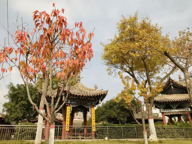 雁滩公园旅行图片 9