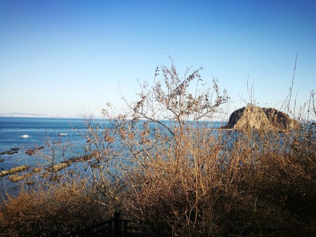 长兴岛长琴海岸旅行图片 1