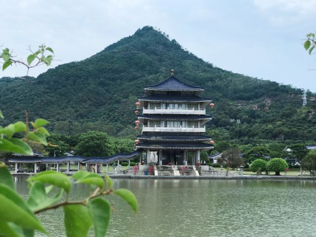 将军山公园管理委员会旅行图片 1