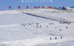 新疆游记图片] 新疆也迷里滑雪场，环境好游客少价格也公道，夜场仅需9元钱