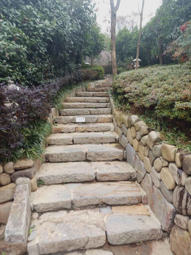 湯山紫清湖旅遊區