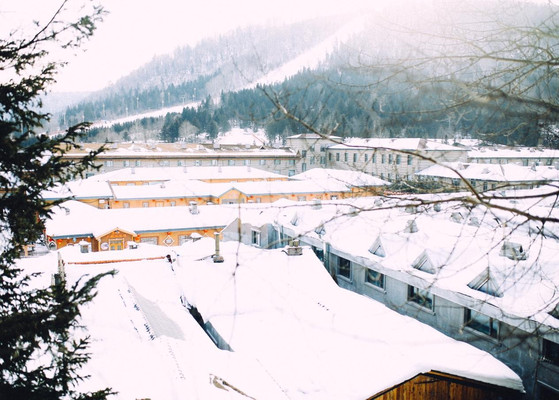 我一路向北   遗憾没有你分享我的感动（长白山—雪乡—哈尔滨—漠河寻北之旅））