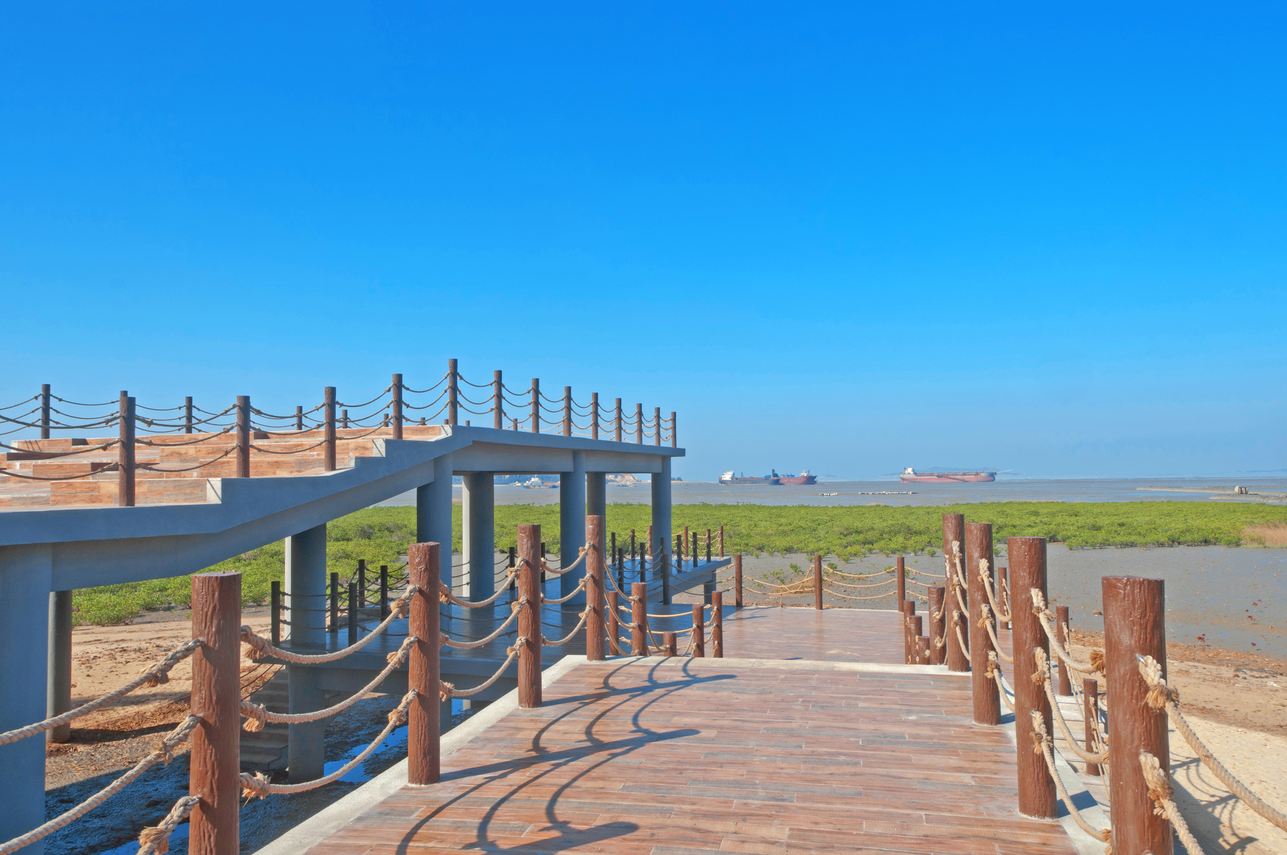 红树林公园