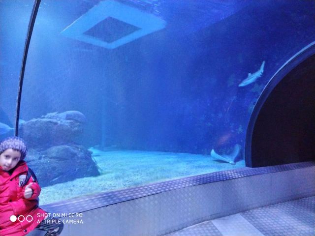 Changfeng Ocean World