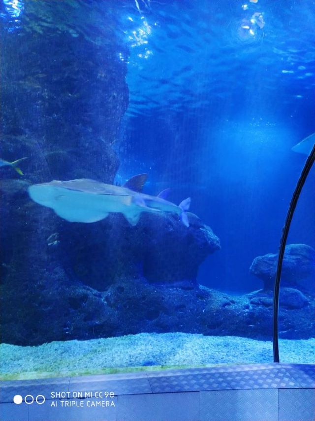 Changfeng Ocean World
