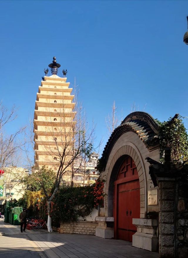 东寺塔茶花园旅行图片 1