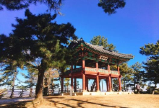 扶苏山城(落花岩・皋兰寺游游轮)景点图片