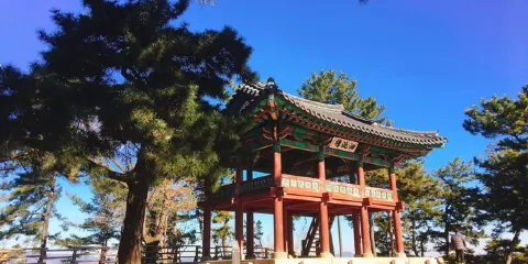 扶蘇山城(落花岩・皋蘭寺遊遊輪)