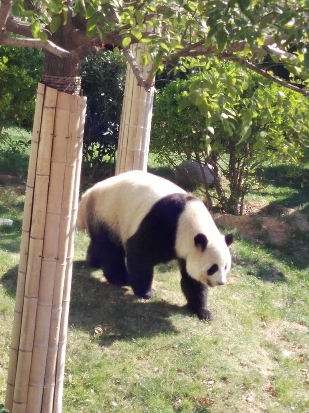 动物园