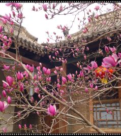 林州游记图文-向春天出发——2019,3，自驾、踏春。（一）安阳、红旗渠。