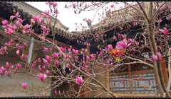 林州游记图片] 向春天出发——2019,3，自驾、踏春。（一）安阳、红旗渠。
