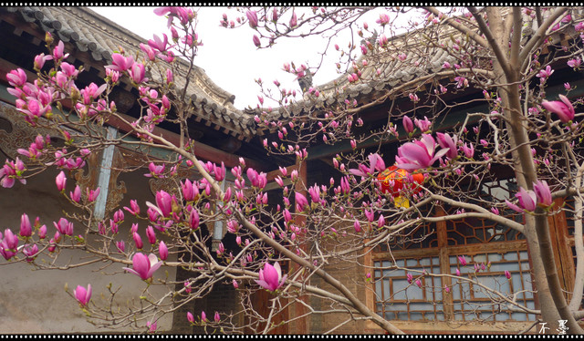 向春天出发——2019,3,自驾、踏春。(一)安阳、红旗渠。