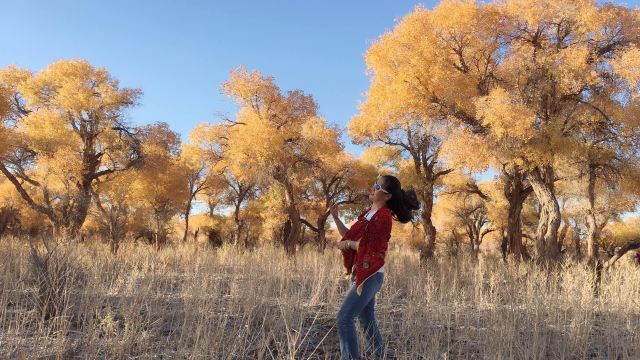 胡杨林旅行图片 1