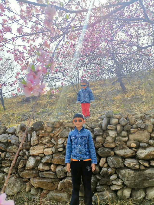 平谷桃花海旅行图片 2
