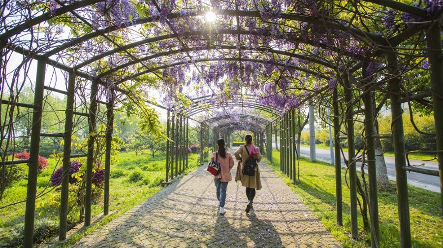 无锡阳山桃花源景区