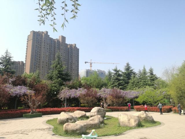 航天城中湖公园旅行图片 2