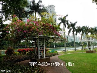 四月的厦门美景如画