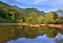 合作森林公园景点图片