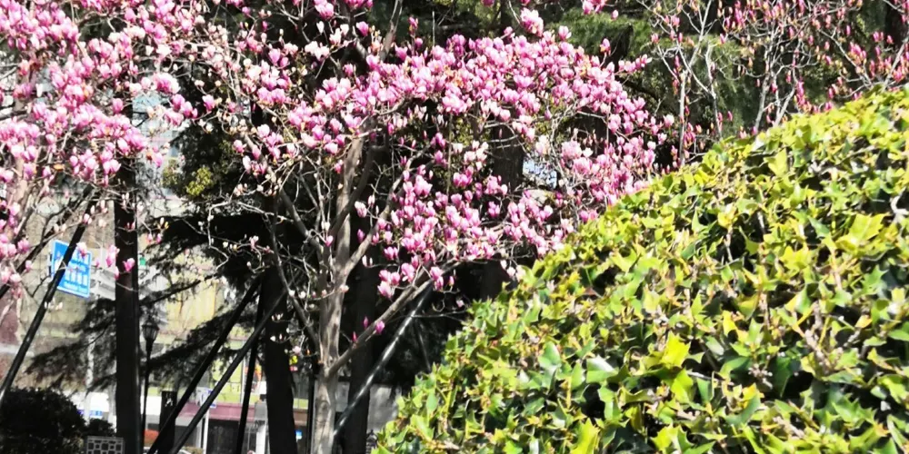 永安旅遊