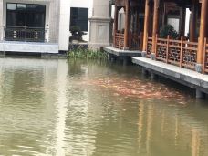 婺源鑫邦大酒店(婺女洲店)·品轩中餐厅-婺源-Ms 俊俊