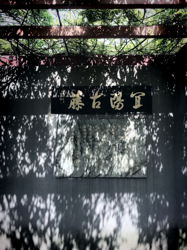 古藤园旅行图片 1
