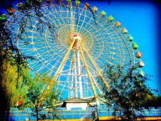 牡丹江人民公园-牡丹江-_CFT01****9302889